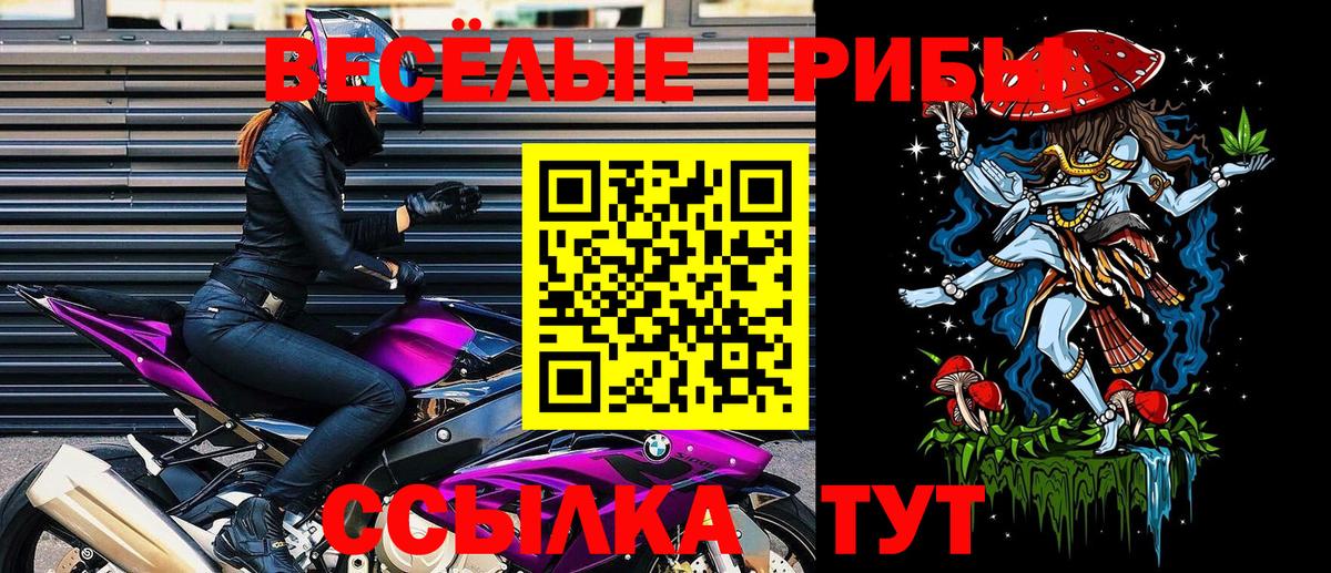 Донецк  Псилоцибиновые грибы мухоморы  Вход с VPN 