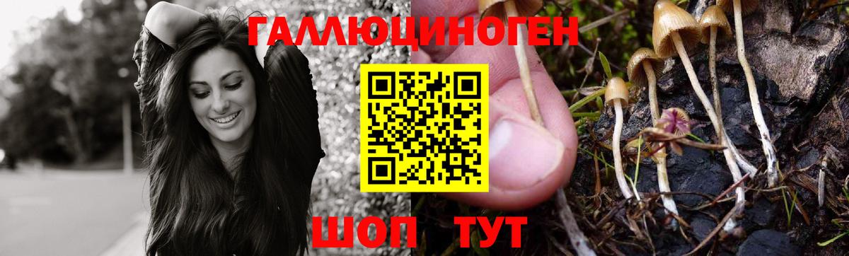 Псилоцибиновые грибы мухоморы Донецк
